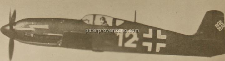 Peter Provenzano Photo Album Image_copy_084.jpg - Heinkel He 113 fighter.